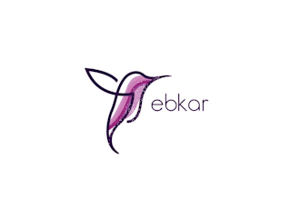 design a premium elegant hummingbird logo for your business