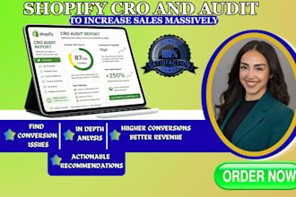 review and optimize your shopify store for higher sales