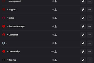 make you a customized discord server