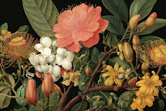 design best botanical illustration