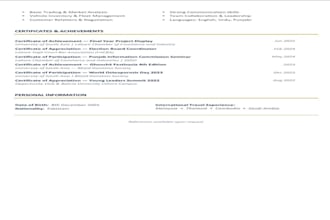 write a professional CV and resume for you