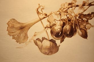 illustrate best botanical illustration