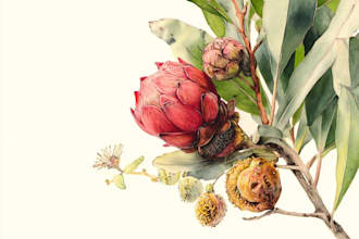 create a realistic botanical drawing