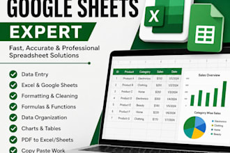 excel and google sheets, and spreadsheets expert