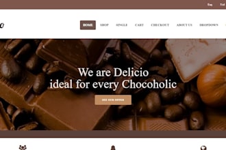 design redesign webshop, wordpress ecommerce on hostinger,shopify,godaddy, ionos