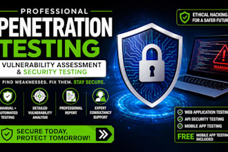 web security testing for startups and online businesses