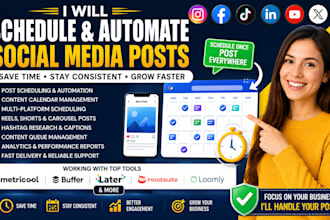 schedule instagram tiktok facebook and linkedin posts via metricool buffer later