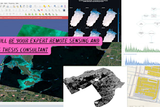 be your expert gis remote sensing and hydrology thesis consultant