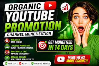 do youtube video SEO, google discovery and channel promotion for 1 million view