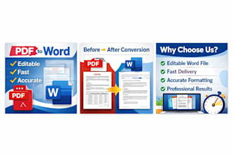convert PDF to editable word document professionally