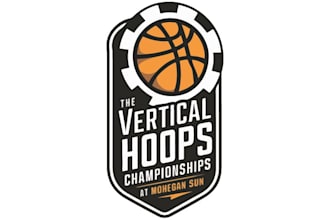 create a professional volleyball sports logo design