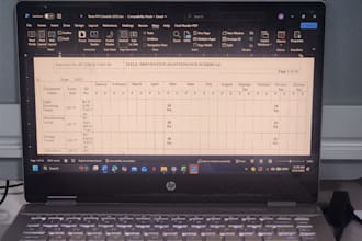 do accurate data entry and excel work