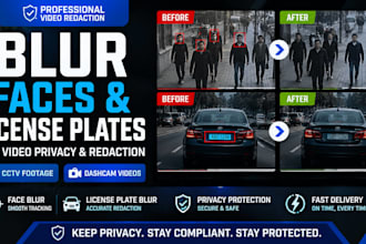 blur faces and license plates, for video privacy and redaction for cctv dashcam