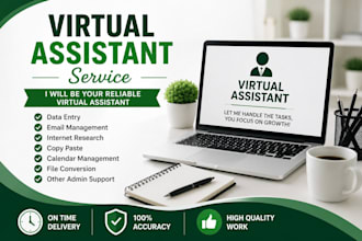do data entry and virtual assistant work professionally