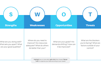 provide professional business marketing strategy and growth