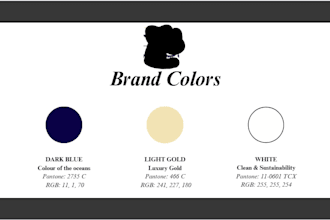create your identify, brand, story, colors, position