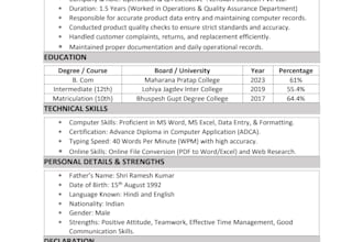 do professional resume formatting and ms word document structuring