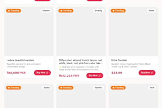 build web app for perfessional use
