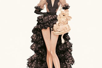 create fashion illustration for you brand