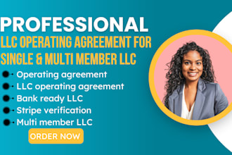 help you draft llc operating agreement for banks, stripe, or partners