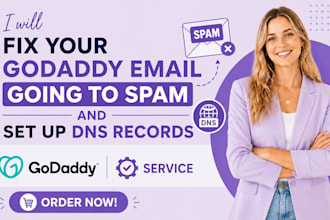 fix your godaddy email going to spam and set up dns records