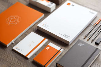 design logo and brand style guide, branding kit