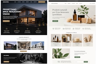 create a professional wordpress website
