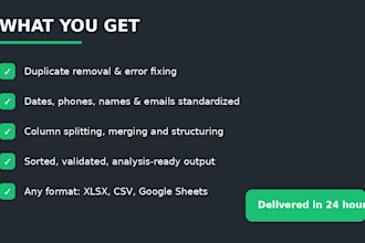 clean, format and organize your excel or CSV data within 24 hours
