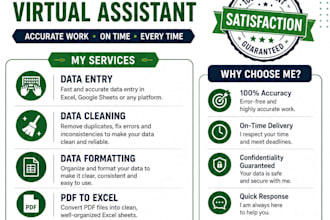 professionally format and organize excel spreadsheets