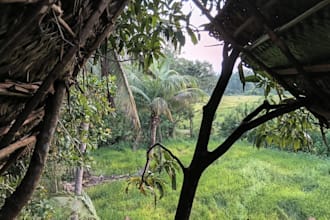 take beautiful nature and landscape photography for you