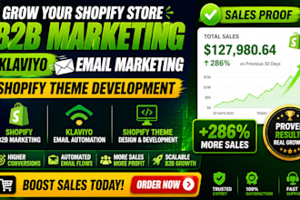 shopify b2b marketing shopify klaviyo email marketing shopify theme developer