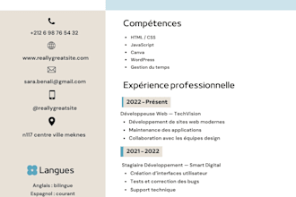 create a modern professional CV resume