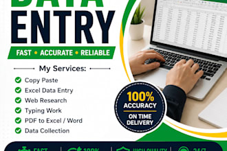 accurate data entry,copy past and web reserch