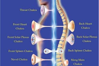 help you healing your physical body, energy body and chakras