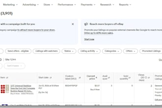 do ebay SEO listing ,bulk listing ,product listing, lister