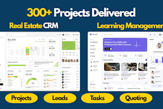 build custom saas application, mvp and ai web application