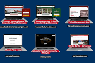 build a professional wordpress or woocomerce website