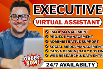 be your personal assistant, administrative support, executive virtual assistant