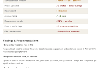 audit your local SEO and google business profile with a full action plan