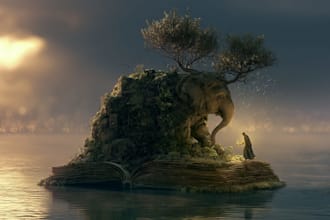 do professional photo manipulation