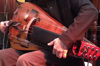 record bagpipes, accordion, hurdy gurdy,concertina for european folk music