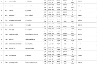 manage payroll salary sheets attendance and HR reports in excel