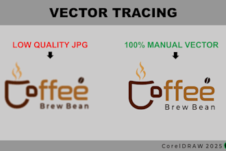 convert image to vector manually