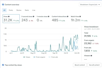 rank your website on google with onpage optimization and local search