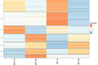 analyze rna seq fastq data as per your need in minimal price