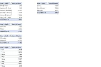 create professional excel mis reports and KPI dashboards