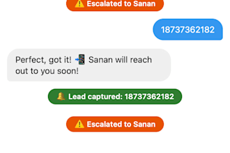 build you an dm bot that replies and captures leads