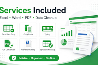 do excel data entry copy paste typing and formatting