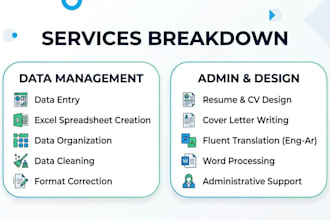 do professional data entry, translation, and custom CV design