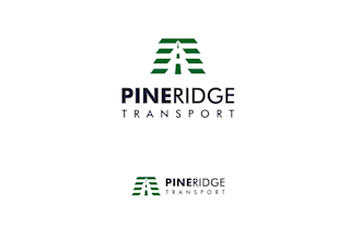 design a trucking, transport, logistics, and truck logo